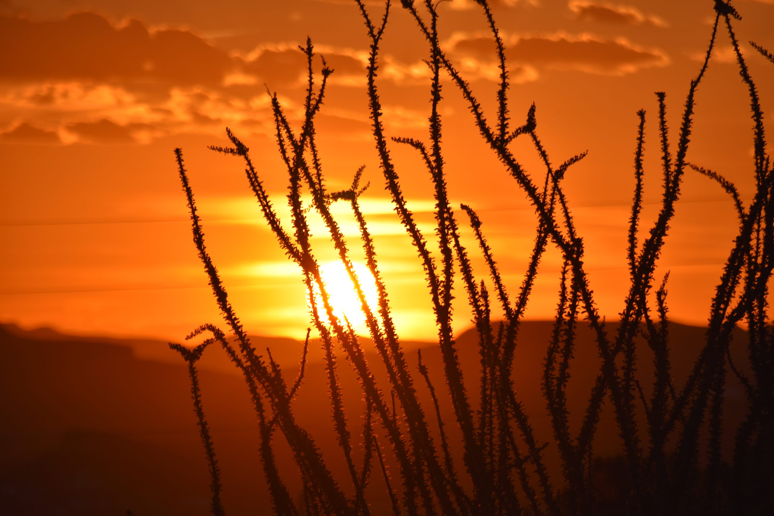 A sunset with the sun setting behind clouds.