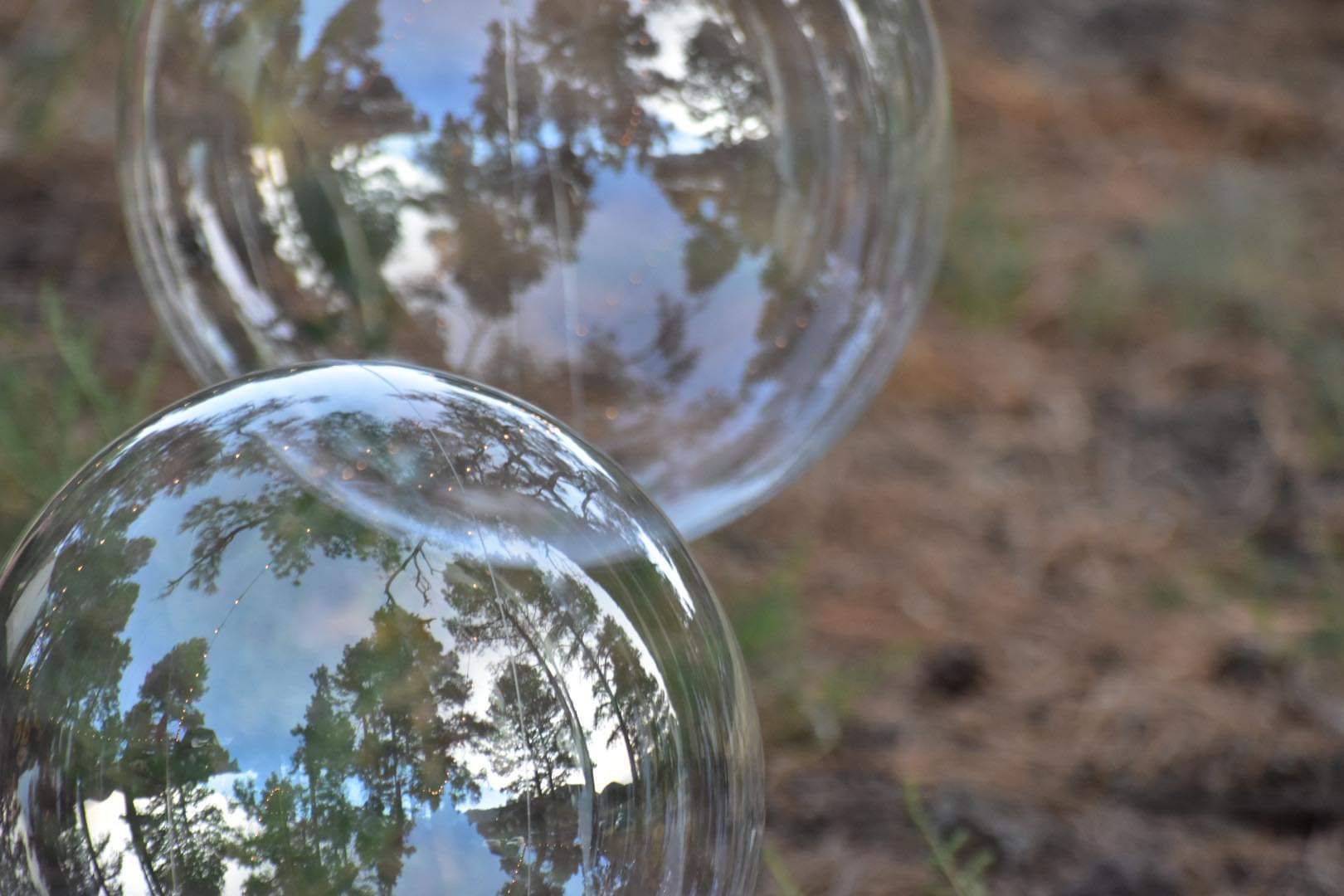 Two glass balls are reflecting the trees in a field.