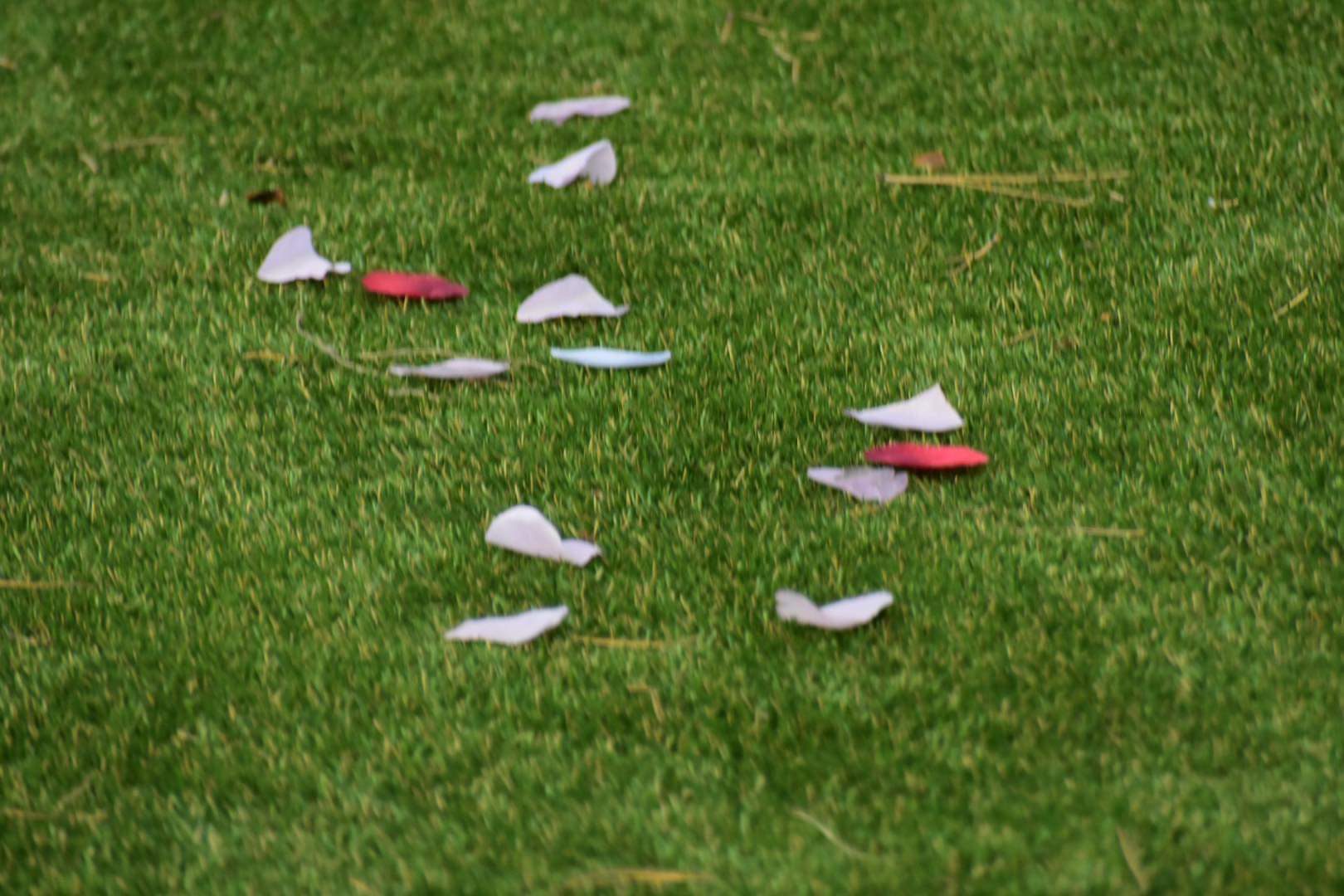 A field with paper hearts scattered on it.