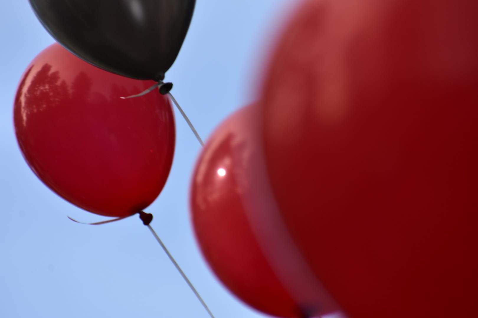 Two balloons are shown in the air with a sky background.