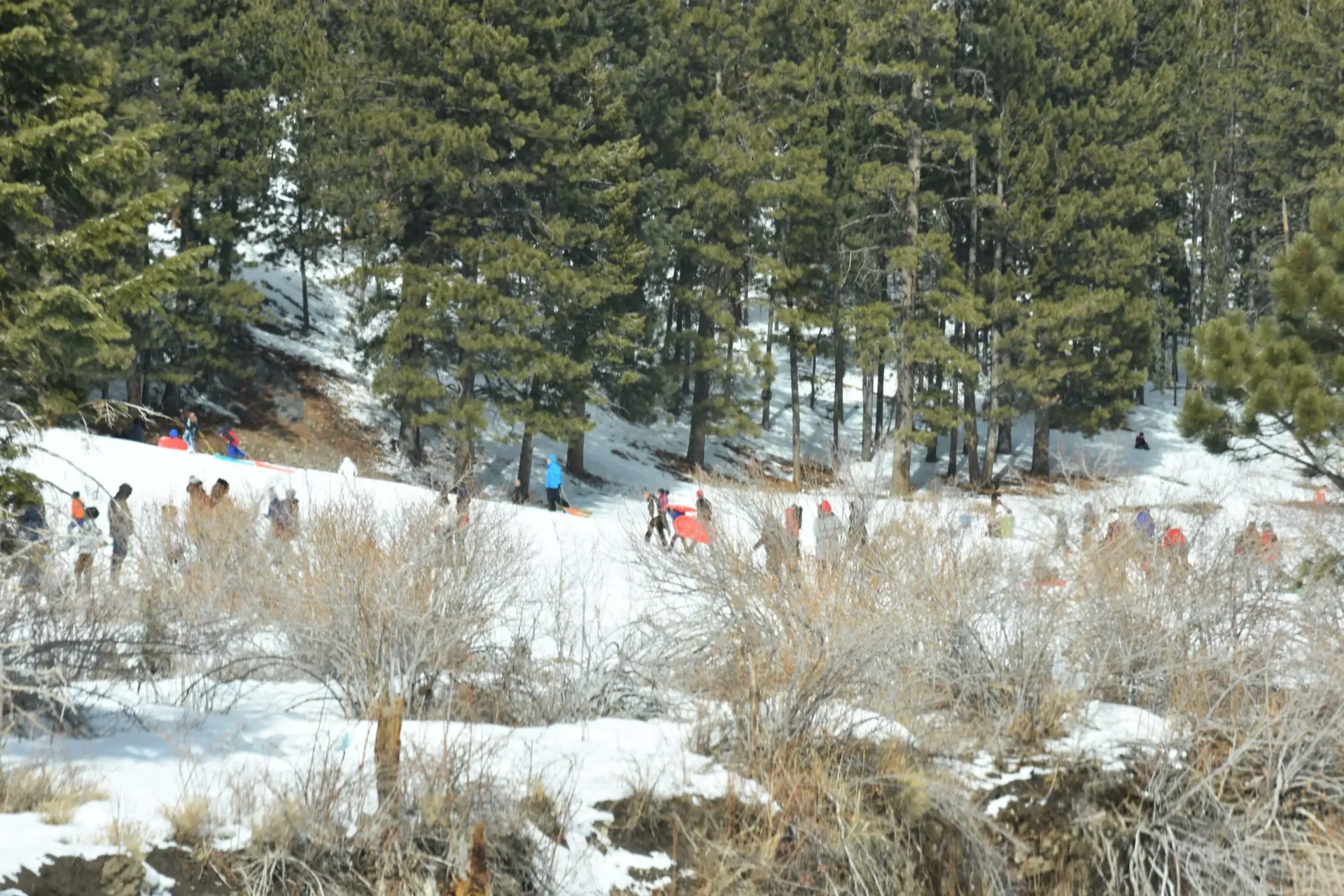 A group of people riding skis on top of snow covered ground.