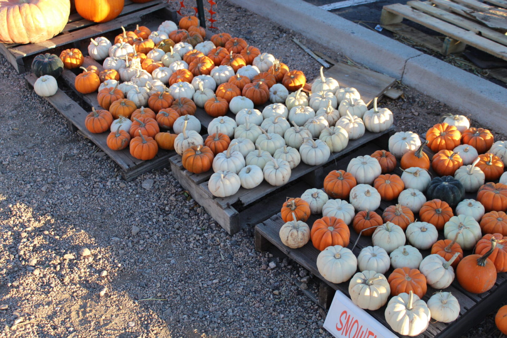 A pile of pumpkins sitting on top of a wooden board.