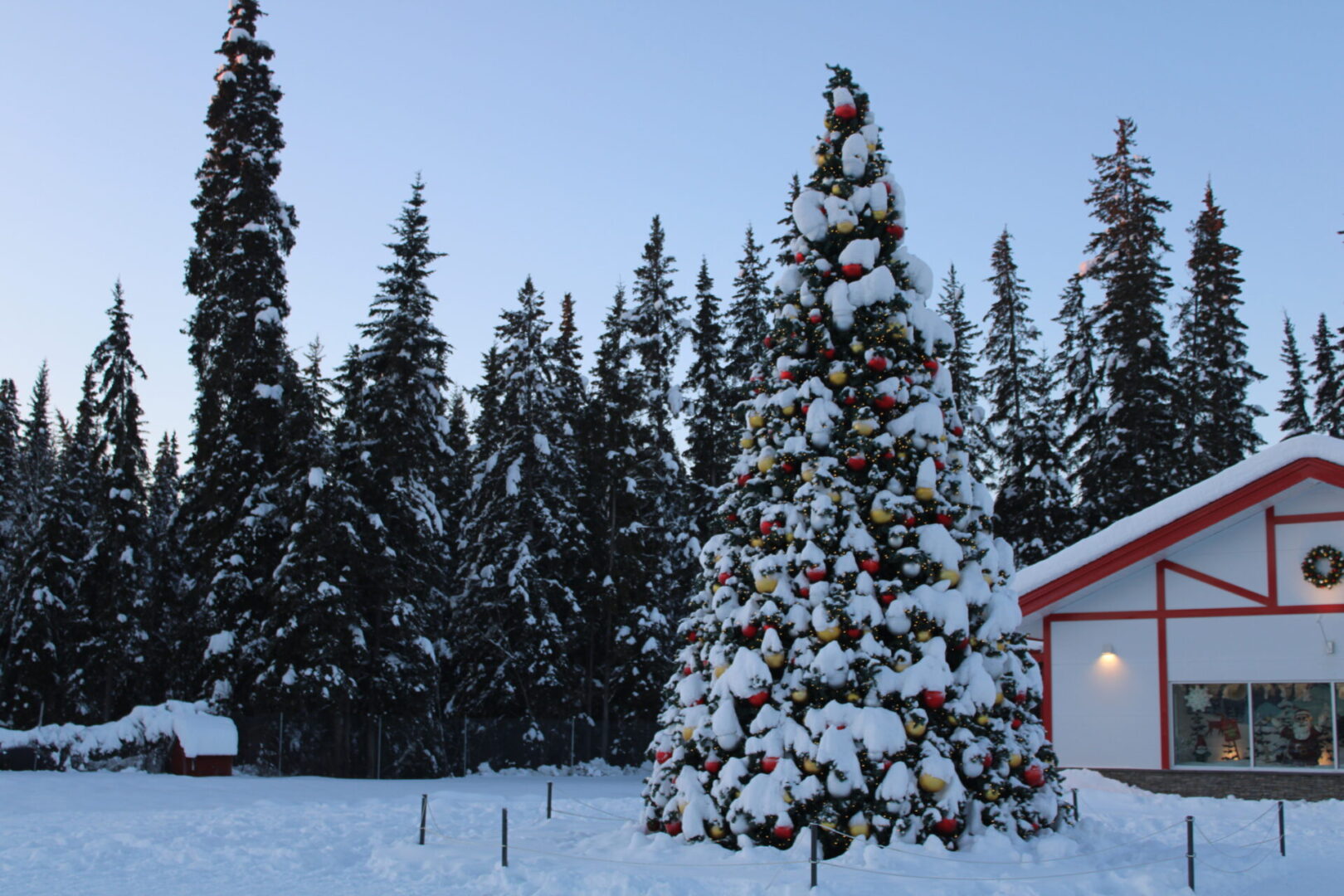 A christmas tree in the snow near some trees.