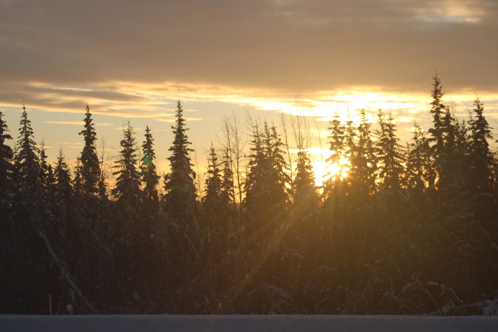 A sunset with trees in the background