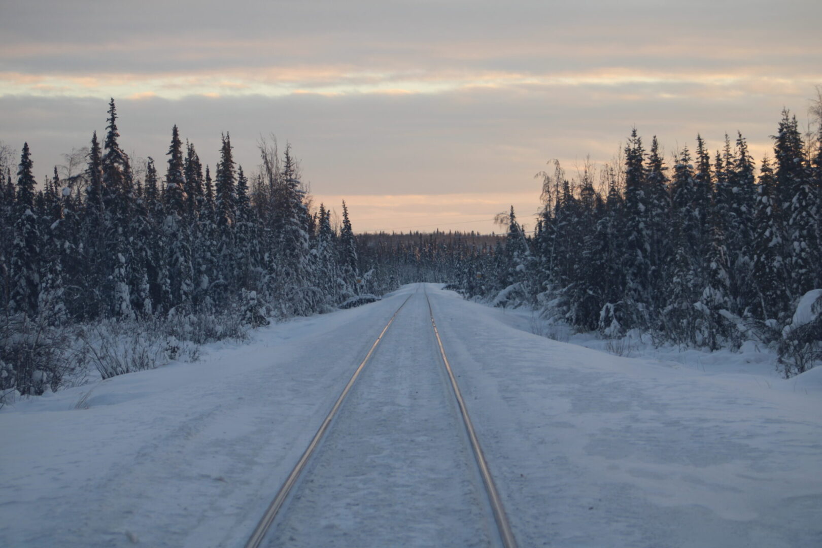 A road with snow and trees in the background