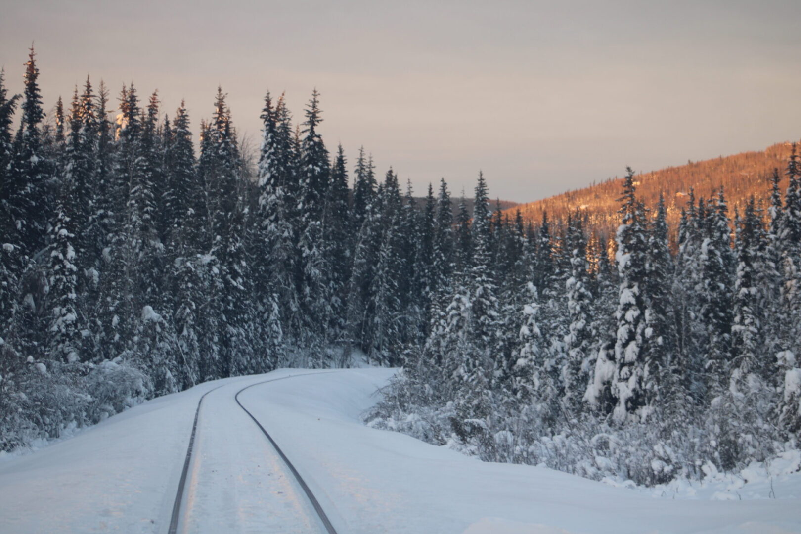 A train track in the middle of snow covered trees.