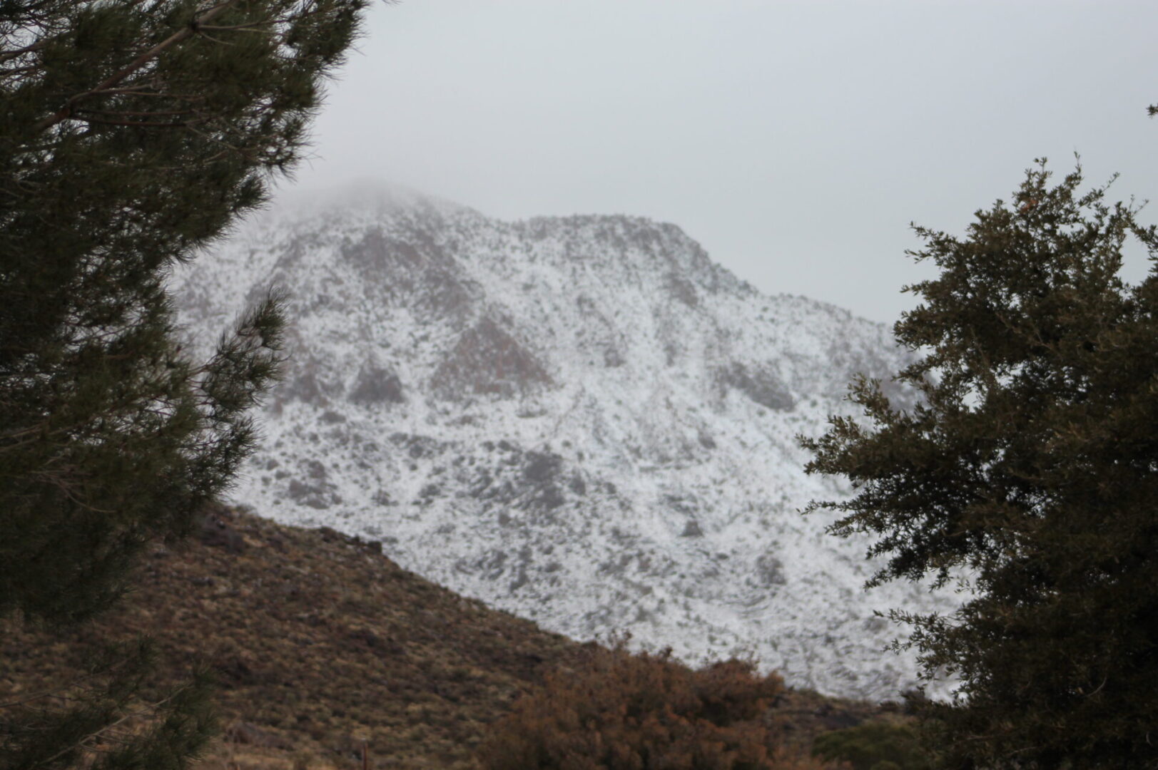 A snowy mountain with trees in the foreground.