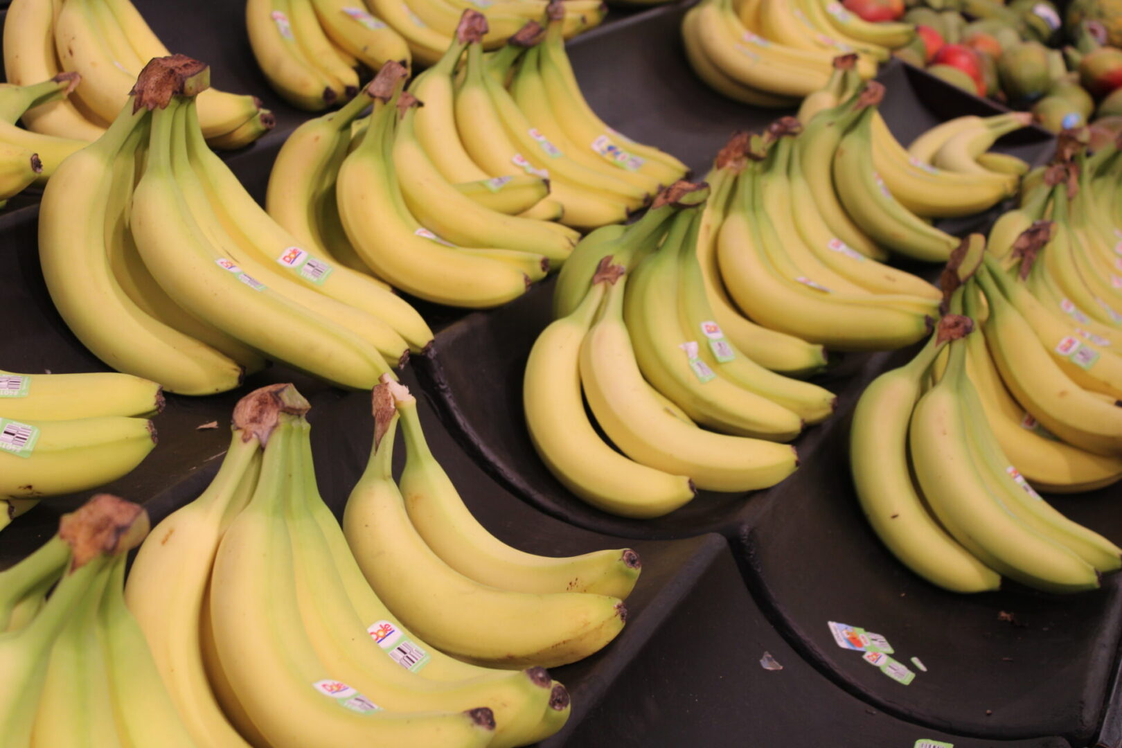 A bunch of bananas are on display in the store.