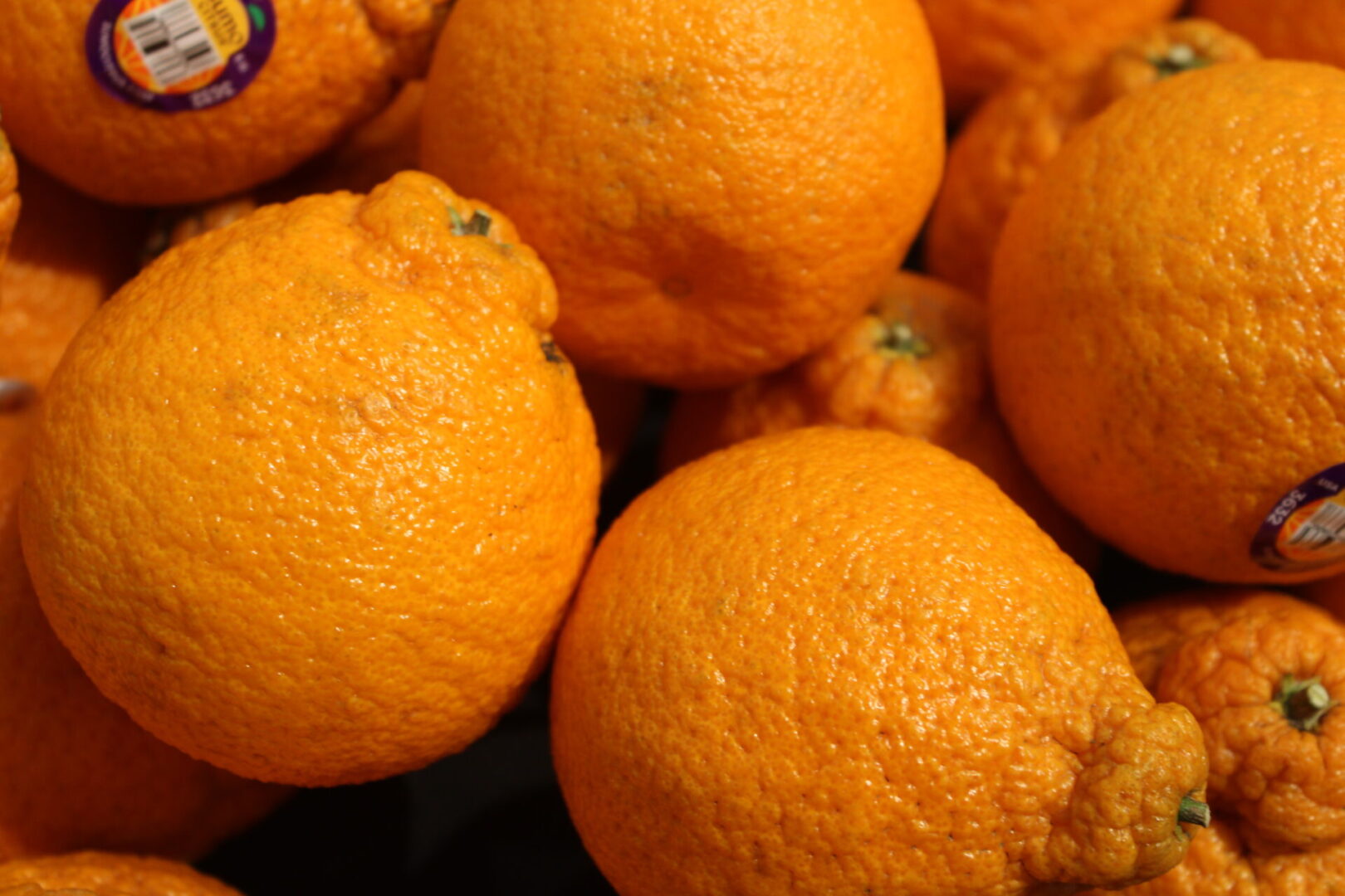 A close up of several oranges in a pile