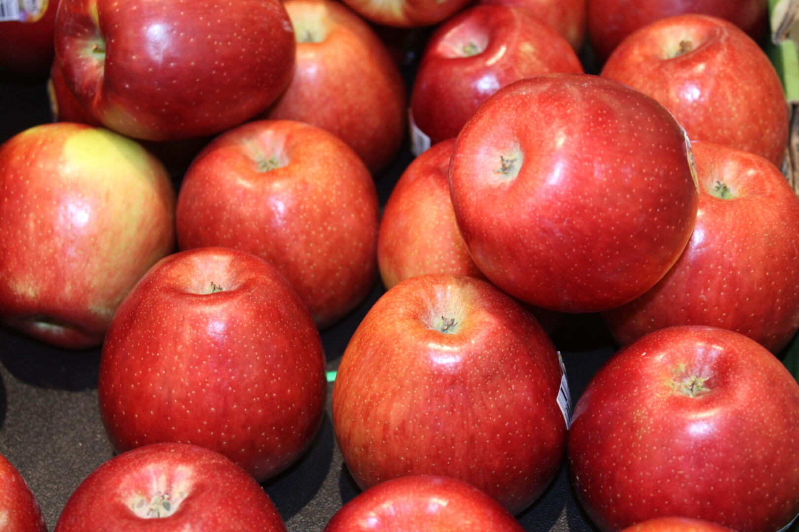 A close up of many apples on display.