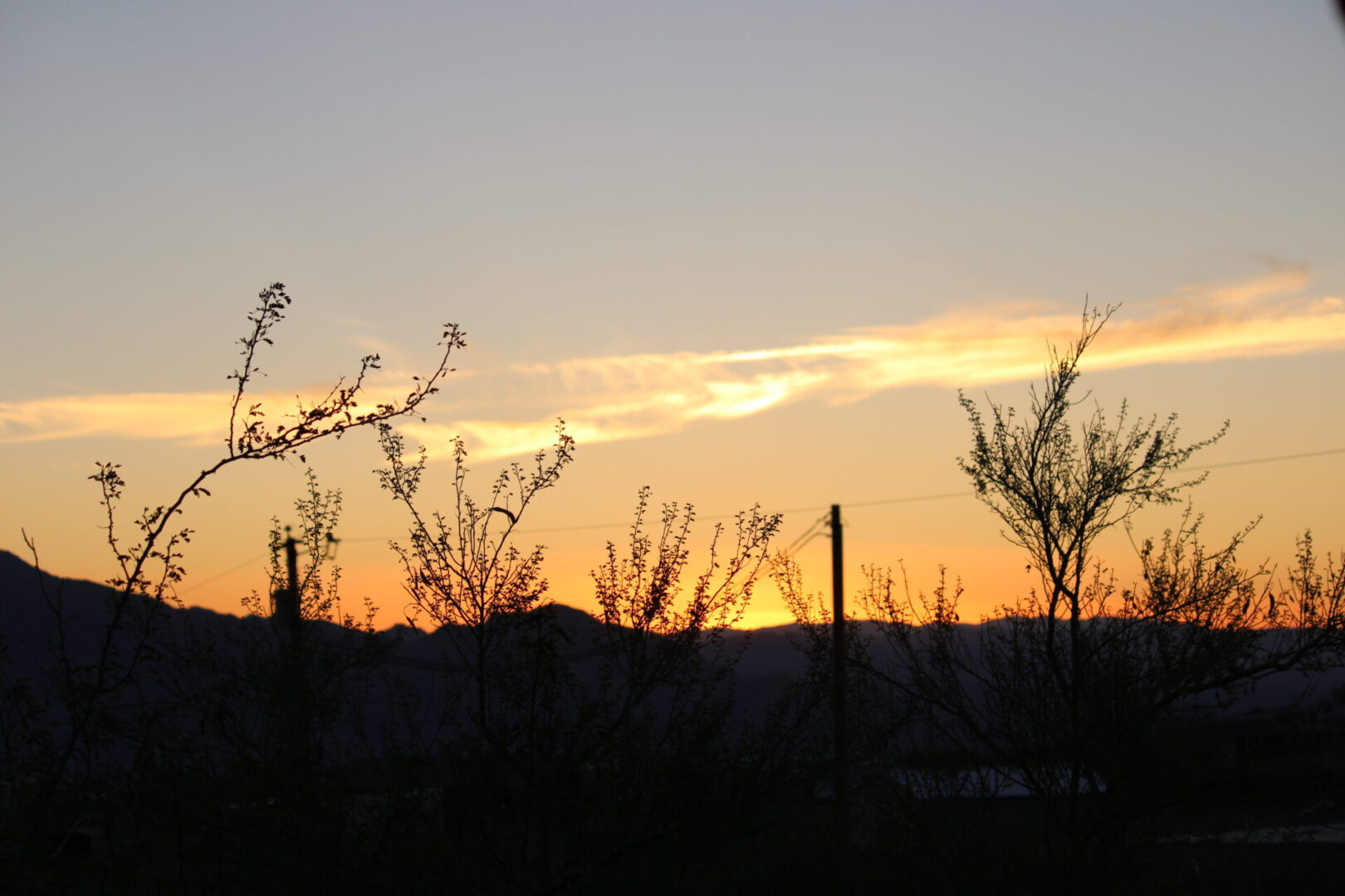 A sunset with trees and bushes in the foreground.