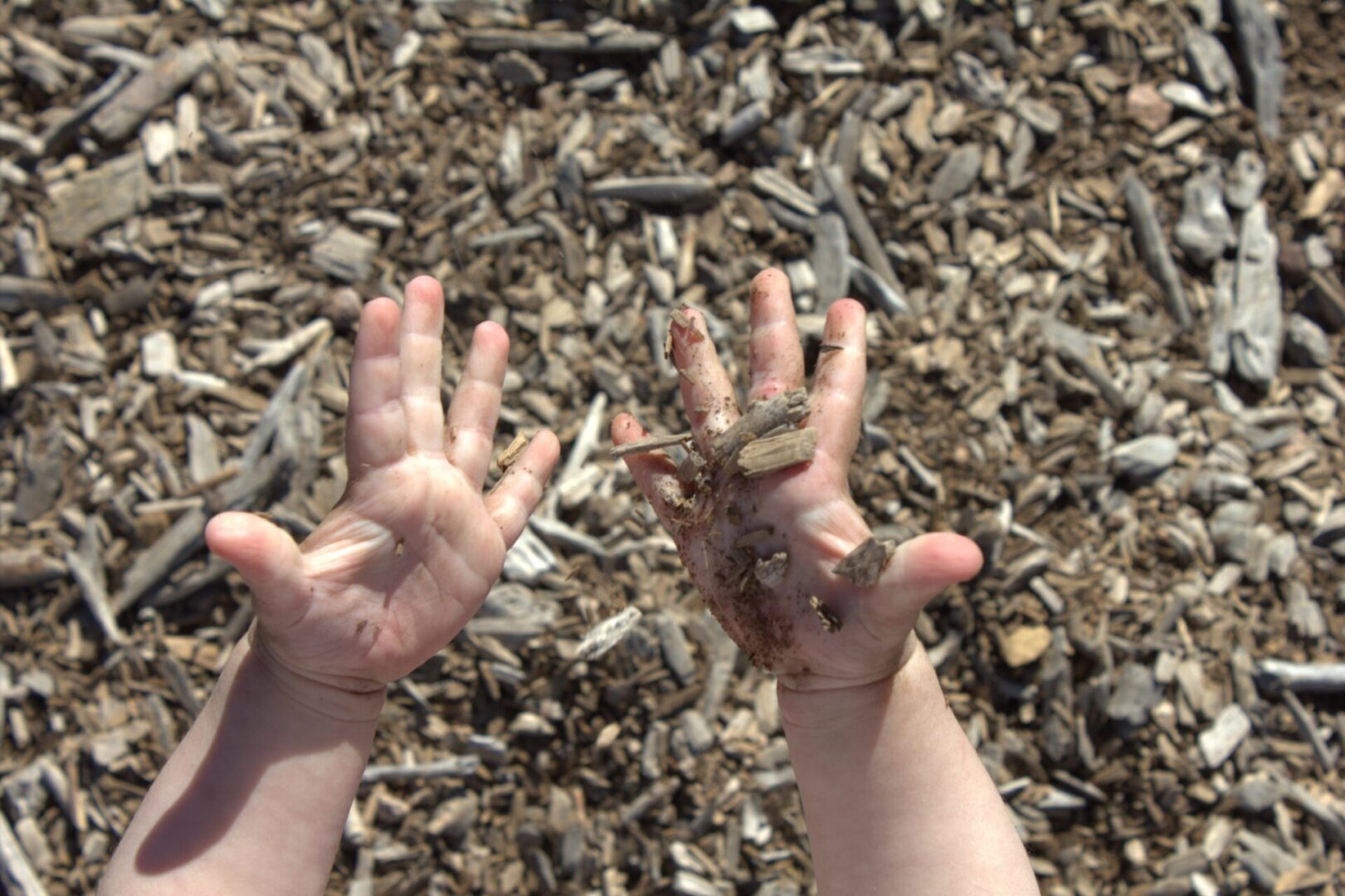 A person 's hands in the dirt with their fingers up.