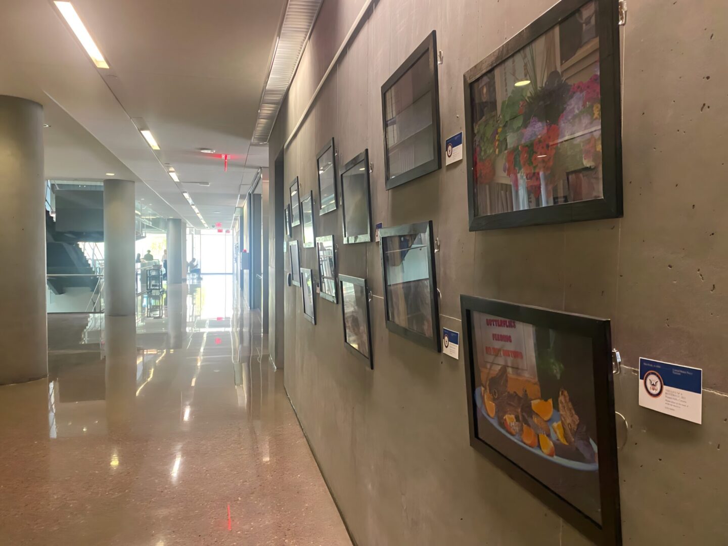 A hallway with many pictures on the wall