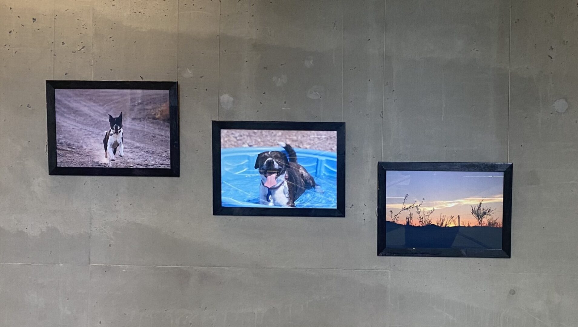 A group of three framed pictures hanging on the wall.