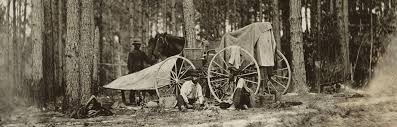 A man sitting next to two horses in the woods.